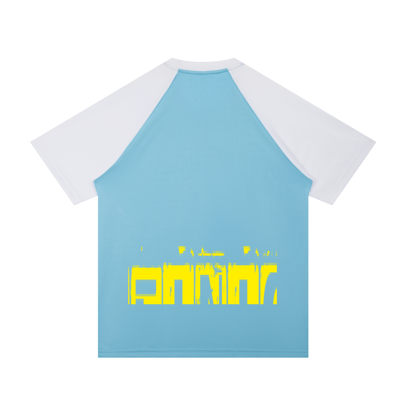 Contrast Raglan Sleeve Mesh T-Shirt